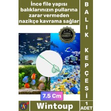 Wintoup #akvaryumkepçesi Profesyonel Kaliteli Dayanıklı Ince Fileli Akvarist Akvaryum Balık Kepçesi 7.5 cm