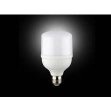 Cata LED Tourch Ampul