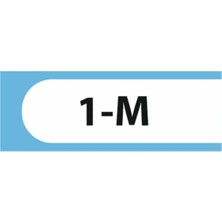 HiperAD Reklam 1-M Yazılı Okul Kapı Isimliği 25 × 9 cm Dekota | Kapı Yazısı 3mm Dekota Ilkokul
