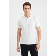Kamer Erkek Polo Yaka Kısa Kollu Tişört Regular Kalıp 2610 BGL-ST05606