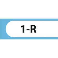 HiperAD Reklam 1-R Yazılı Okul Kapı Isimliği 25 × 9 cm Dekota | Kapı Yazısı 3mm Dekota Ilkokul