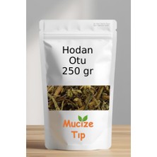 Mucize Tıp Hodan Otu Dökme 250 gr