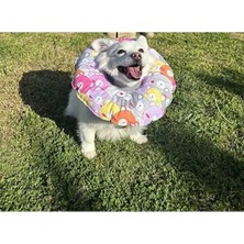 Bella Vista Kedi ve Köpekler Için Yıkanabilir Elizabeth Boyunluk, Ayıcık Desenli