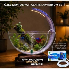 Berliva Home Wooden Aquarium Ahşap Tabanlı Hilal Akvaryum - LED Işıklı Özel Tasarım Betta Fanusu+Hava Motor Hediyeli Type-C Ile Çalışır