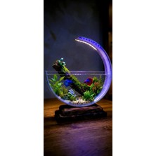 Berliva Home Wooden Aquarium Ahşap Tabanlı Hilal Akvaryum - LED Işıklı Özel Tasarım Betta FanusuType-C Ile Çalışır