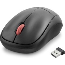 Skygo Wıreless Mouse Siyah ND3409
