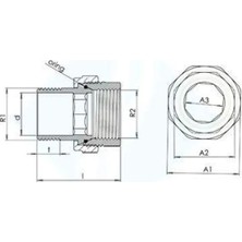 Colezium 1 1/2 Düz Radyatör Rakoru
