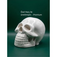 Canseb Elegance 10CM Kuru Kafa Heykeli - Dekoratif Obje Biblo