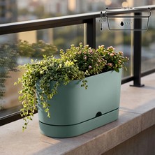 ToXA 5.5 Litre Yeşil Begonya Balkon Saksı Dekoratif Tabaklı Izgarasız Mat Plastik Saksı