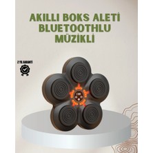Epilons Bluetoothlu Akıllı Boks Antrenman Cihazı Işıklı Hedefli Kardiyo Ve Fitness Aleti