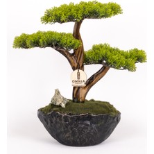 Omnia Concept Calipso Bonsai-6 Masaüstü Kullanıma Uygun Mini Yapay Bonsai Ağacı - 30X40 cm