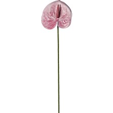Dekorsende Yapay Antoryum Dal Pembe 60 cm