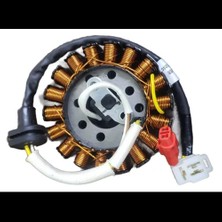 NF320940 Tvs Apache Rtr 200 Statör Euro 5 Orjinal