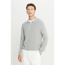 Altınyıldız Classics Yünlü Standart Fit Normal Kesim Polo Yaka Triko Kazak