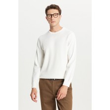 Altınyıldız Classics %100 Pamuk Standart Fit Bisiklet Yaka Jakarlı Triko Kazak