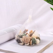 Veraura Lifestyle Dekoratif Vazo Taşı - Midye ve Deniz Kabuğu - Fileli Renkli Mix