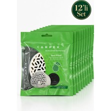 Carpex Aura Wınd Hava Tazeleyici - Beyaz -Bergamot 12LI