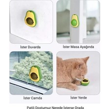 Veraura Lifestyle Avokado Kedi Nanesi Oyun Topu