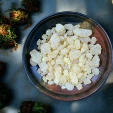 Siirt Doğal Gıda Damla Sakızı Yerli 10 gr Yeni Mahsül Paket