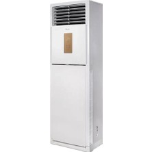 Daylux Salon Tipi Klima DVA140A - 48000 Btu