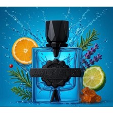 French Avenue Aromatix Magnetıq 100 ml Eau De Parfum