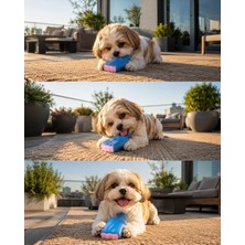 M-Pets Cooling Frisko Dondurulabilir Soğutma Köpek Diş Kaşıma - Köpek Oyuncağı