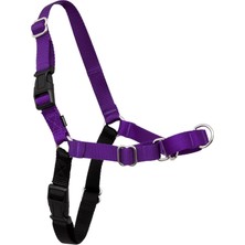 Petsafe Easy Walk Köpek Tasması