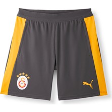 Gs Store Galatasaray Puma Antrenman Şort 78681206