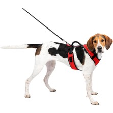 Petsafe Easy Sport Harness - Kırmızı Köpek Tasması Large (71-107 Cm)