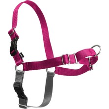 Petsafe Easy Walk Köpek Tasması