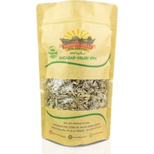 Şifa Ana Tıbbi Adaçayı (50GR.)