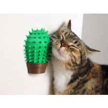 Print Zone Kaktüs Kedi Kaşıma ve Sürtünme Tarağı - Kedi Nanesi & Kedi Otu (Cat Nip) Hazneli - Çift Taraflı Bantlı