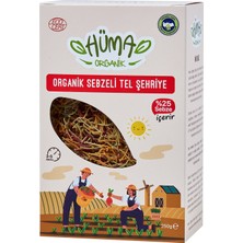 Montreal Hüma Organik Sebzeli Tel Şehriye 250 G ( 1 Adet )