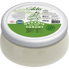 Montreal Elta Ada Organik Tam Yağlı Yoğurt 600 G ( 1 Adet )