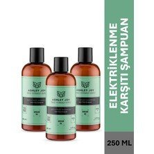 Ashley Joy Elektriklenen Kuru ve Kalın Telli Saçlar Için Antifrizz Şampuan 400 ml x 3  Set