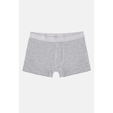 Gri Regular Düz Boxer