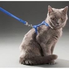Eco Lounge Kedi Boyun ve Göğüs Tasması