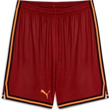 Male Basketbol Shorts 689330