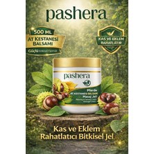 At Kestanesi Masaj Kremi, Kas ve Eklem Rahatlatıcı 500 ml