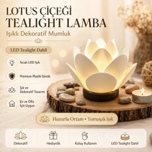 Memania Co Lotus Çiçeği Tealight Lamba – Işıklı Dekoratif Mumluk (Led Tealight Dahil)