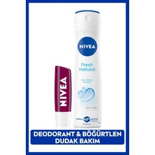 Nivea Kadın Sprey Deodorant Fresh Natural 150ml ve Nemlendirici Böğürtlen Renkli Dudak Bakım Kremi, Bakım Seti