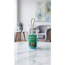 Rawliving Doğal Musluk Sabunu Okyanus Kokulu
