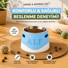 Kedi Köpek Özel Ergonomik Mama ve Su Kabı