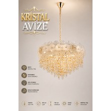 Elvora Home Modern (Premium) Kristal Taşlı Gold Şık Salon Mutfak Sarkıt Avizesi Modelleri 19XE14 Duyulu - Ampül Hediyeli