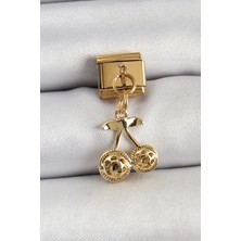 GV Home Mey Ithalat® 316L Çelik Sallantılı Zirkon Taşlı Fiyonk Model Gold Renk Nomination C316L Çelik Sallantılı Kiraz Model Gold Renk Nomination Charm