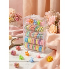 Glowilla Çocuk ve Bebek Karışık Renkli Lastik,havlu Toka ve Mini Mandal Toka Seti - Şeffaf Kutu