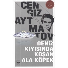 Deniz Kıyısında Koşan Ala Köpek