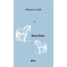Şule Yayınları Hayret Ustası