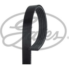 Gates 5PK1140 - Kanallı Kayış Clıo-Kng 1.5 Dcı 01 58376