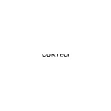 Corteco 19018509 - Fren Hortumu Arka Mercedes W201 W202 W124 W126 W140 R129